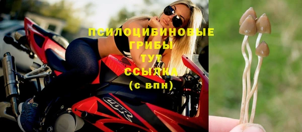 твердый Верея