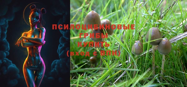 jwh Бугульма