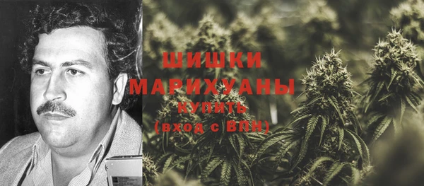 твердый Бронницы
