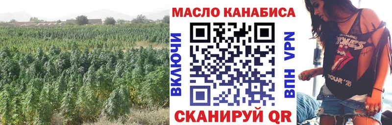ТГК концентрат  Купить закладки  Луза 