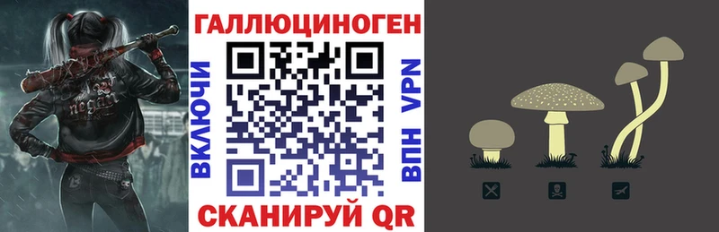 Купить закладки  Луза  Галлюциногенные грибы прущие грибы 